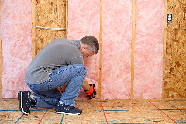 Best Blown-in Insulation in Spanish Lake, MO