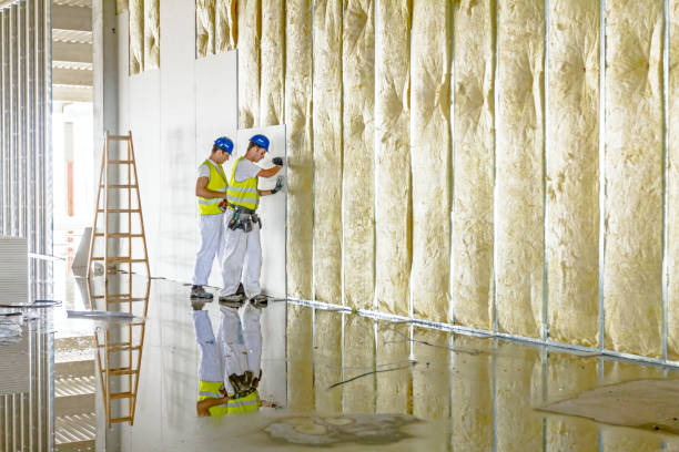 Best Geographic-Specific Insulation Services in Spanish Lake, MO